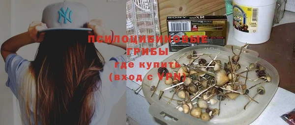 ПСИЛОЦИБИНОВЫЕ ГРИБЫ Алзамай