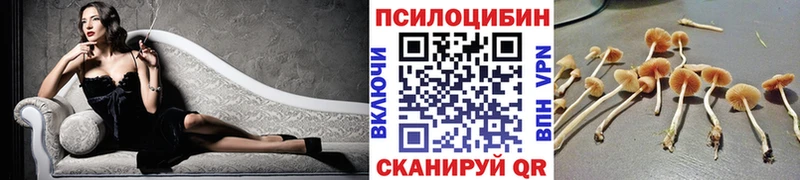 Галлюциногенные грибы ЛСД мориарти официальный сайт Курлово blacksprut ТОР