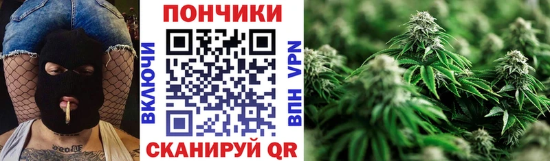 МАРИХУАНА SATIVA & INDICA  как найти наркотики  Курлово 